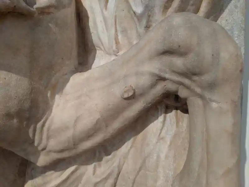 A close view of a horse leg from an ancient marble relief showing an anatomical chestnut.